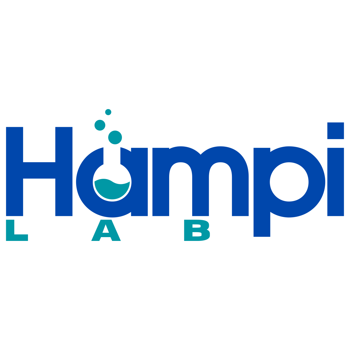 Hampi Lab